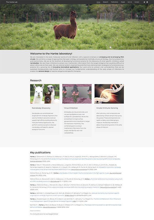 The Hanke Lab Portfolio Website Examples