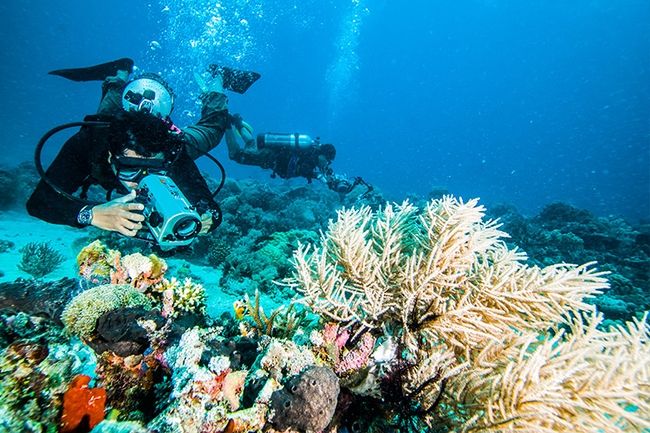 Guida alla fotografia subacquea