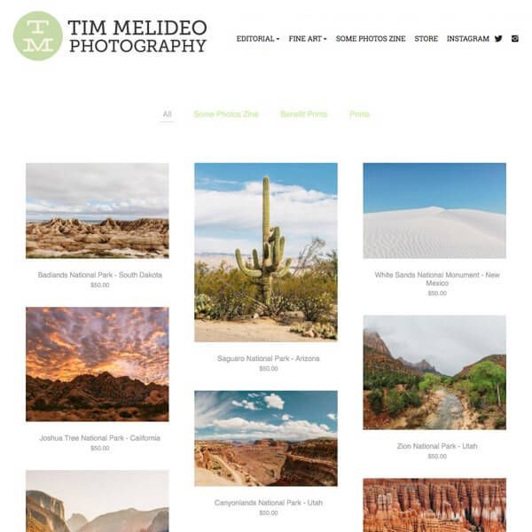 Примеры веб-сайтов портфолио Тима Мелидео