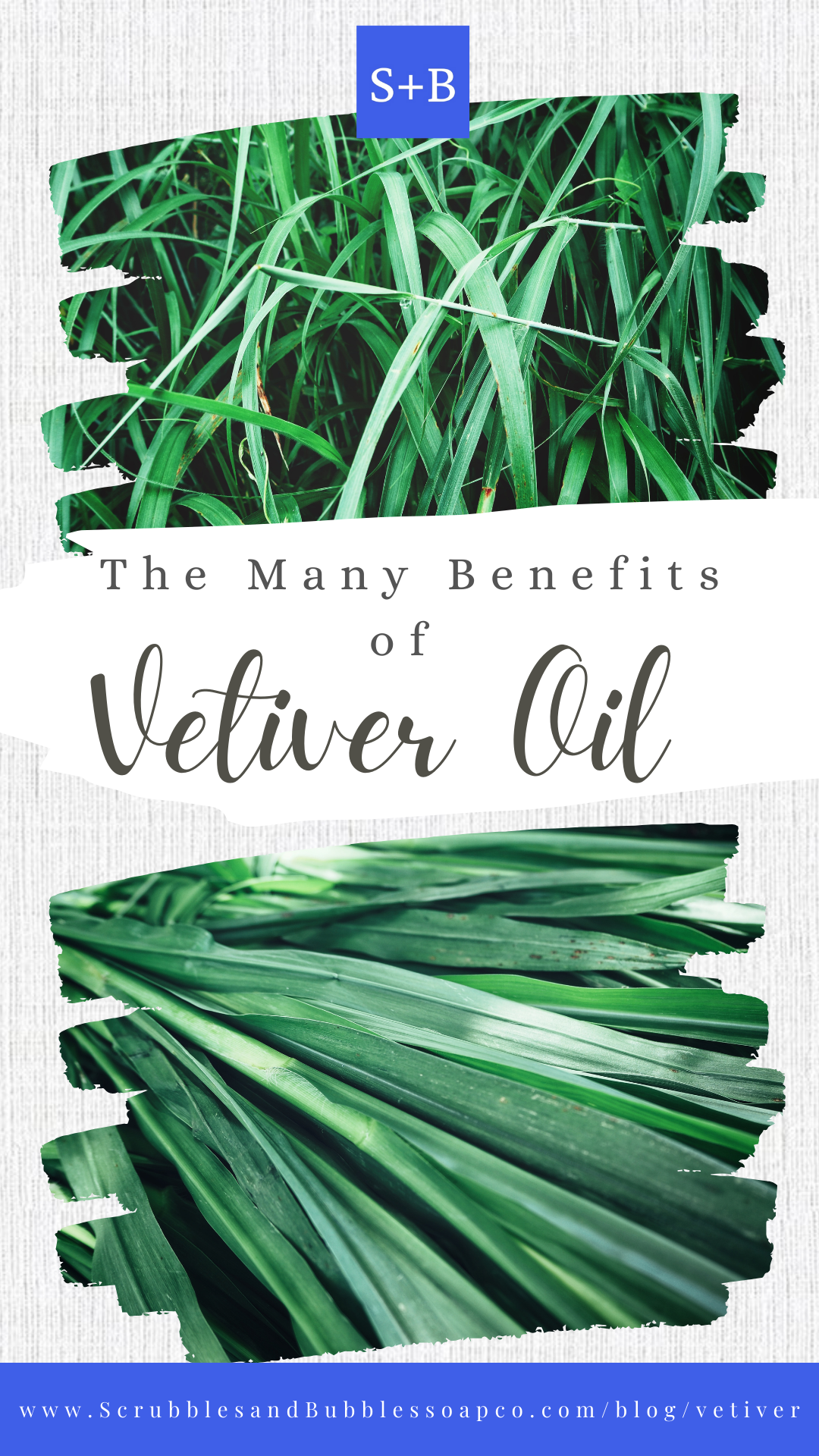 The Benefits of Vetiver