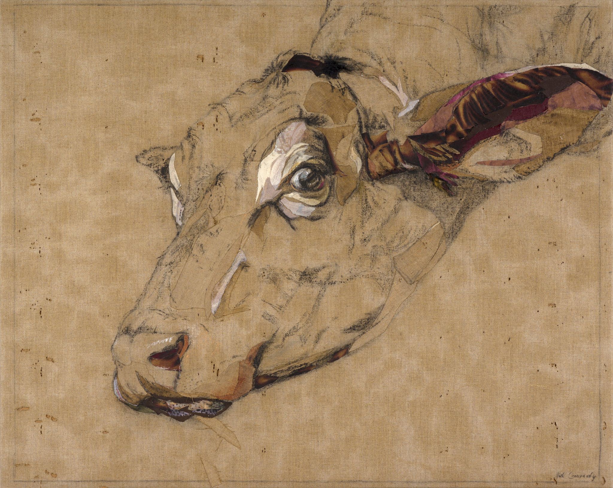 REPRESENTATIVE WORKS/ JILL CANNADY